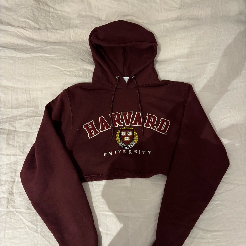 Harvard Cropped Champion Hoodie